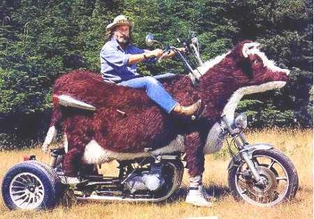 La nouvelle harley davidson